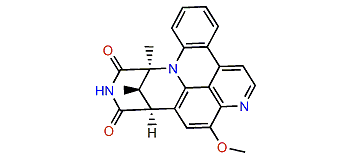 Segoline A